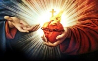 Sprawozdanie za rok 2025