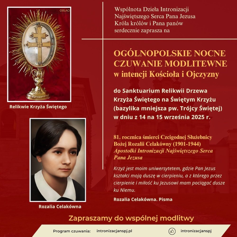 Kopia – szablon – 1